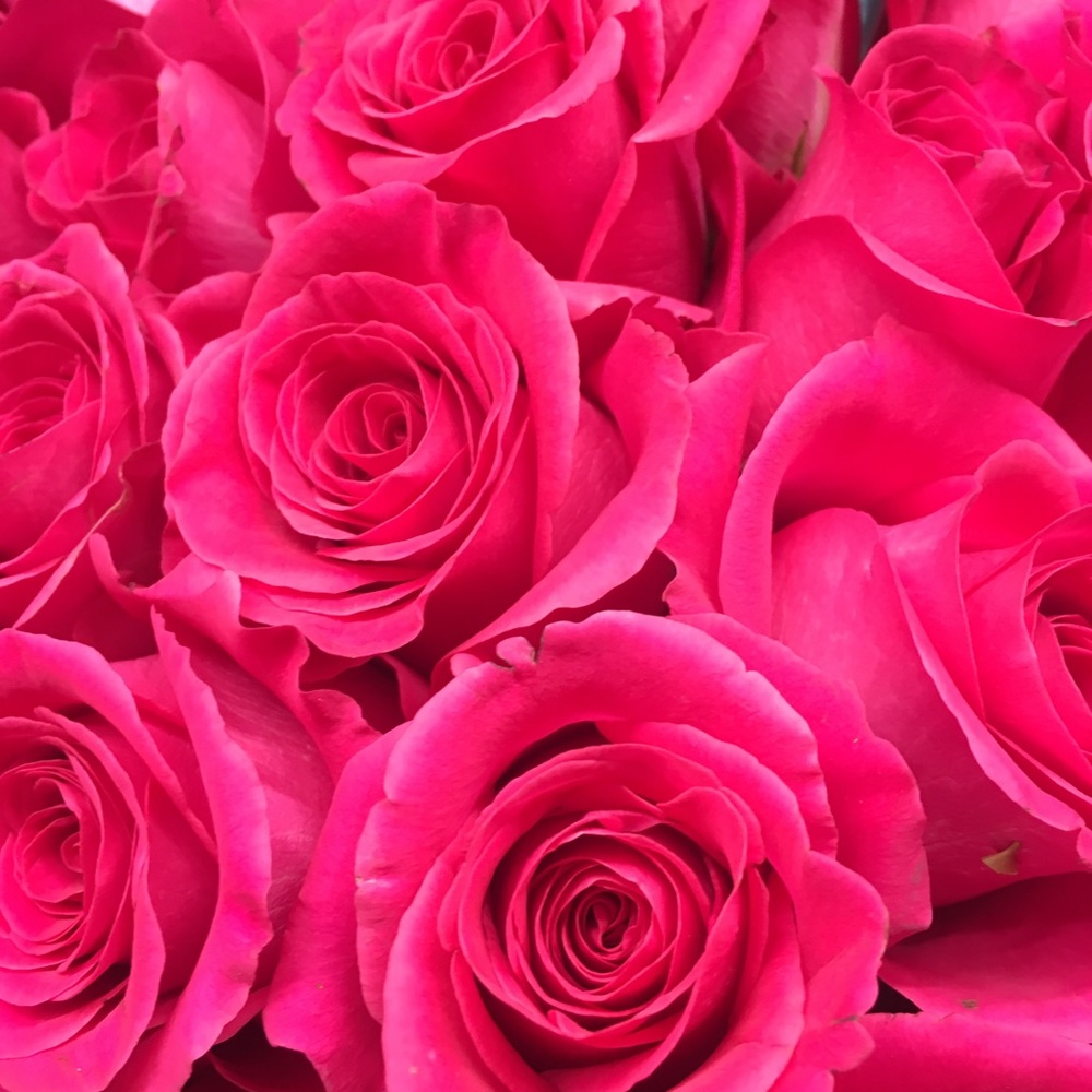 Meet your Posher, Doreli